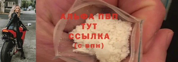тгк Белокуриха