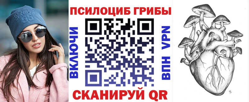 Галлюциногенные грибы мицелий  Кинель 